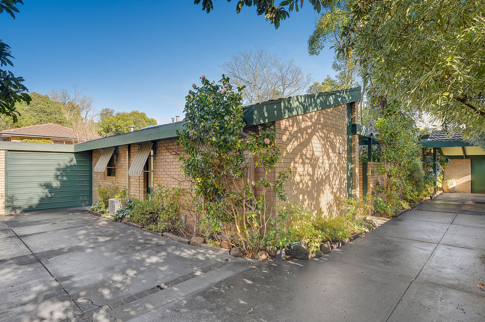 3/16 Essex Road, Surrey Hills
- Print Image 1