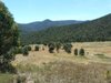 https://images.listonce.com.au/custom/l/listings/00-scrubby-creek-track-omeo-vic-3898/544/00782544_img_02.jpg?pnjYXBYG1L0