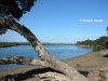 Real Estate and Property in 1 Barwon Terrace, Barwon Heads, VIC