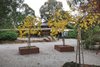 Real Estate and Property in 1 Bolithos Road, Riddells Creek, VIC
