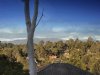 Real Estate and Property in 1 Endeavour Street, Mitcham, VIC