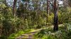 Real Estate and Property in 10 Cassidy Access, Wye River, VIC