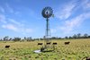 https://images.listonce.com.au/custom/l/listings/10-dockertys-road-wy-yung-vic-3875/578/01741578_img_08.jpg?eSLW810JjV0