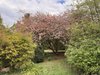 10 Jensens Lane, Exeter NSW 2579  - Photo 14