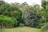 10 Lorna Close, Bundanoon NSW 2578  - Photo 16