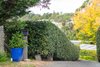 10 Lorna Close, Bundanoon NSW 2578  - Photo 22