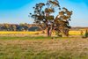 Real Estate and Property in 100 Mactiers Lane, Metcalfe, VIC