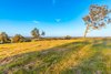 Real Estate and Property in 100 Mactiers Lane, Metcalfe, VIC