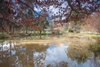 Real Estate and Property in 102 Slatey Creek Road, Woodend, VIC