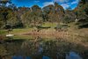 Real Estate and Property in 103 Bald Hill Road, Kyneton, VIC