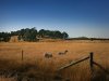 Real Estate and Property in 103 Chases Lane, Carlsruhe, VIC