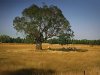 Real Estate and Property in 103 Chases Lane, Carlsruhe, VIC
