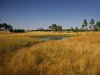 Real Estate and Property in 103 Chases Lane, Carlsruhe, VIC