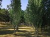 Real Estate and Property in 103 Chases Lane, Carlsruhe, VIC