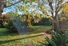 https://images.listonce.com.au/custom/l/listings/103-livingstone-street-orbost-vic-3888/733/01810733_img_17.jpg?jfhsA5iLfPs