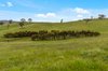 Real Estate and Property in 105 Englishs Road, Broadford, VIC