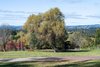 105 Oxleys Hill Road, Bowral NSW 2576  - Photo 16