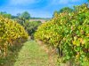 Real Estate and Property in 105 Soho Road, Drysdale, VIC