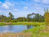 Real Estate and Property in 105 Soho Road, Drysdale, VIC