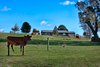 Real Estate and Property in 1053 Trentham Road, Tylden, VIC