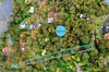 107 Arcadia Avenue, Gymea Bay NSW 2227  - Photo 4