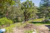 107 Arcadia Avenue, Gymea Bay NSW 2227  - Photo 5