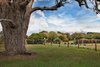 Real Estate and Property in 108 Baynton Road, Kyneton, VIC