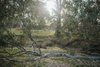 Real Estate and Property in 108F Campbells Road, Redesdale, VIC