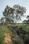 Real Estate and Property in 108F Campbells Road, Redesdale, VIC