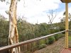 Real Estate and Property in 11 Caramut Court, Warranwood, VIC