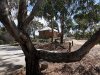 Real Estate and Property in 11 Church Street, Maldon, VIC