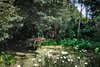 Real Estate and Property in 11 Falls Road, Trentham, VIC
