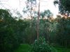 Real Estate and Property in 11 Mopoke Hill Road, Warrandyte, VIC