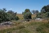 Real Estate and Property in 1150 Burke and Wills Track, Benloch, VIC