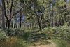 Real Estate and Property in 1150 Burke and Wills Track, Benloch, VIC