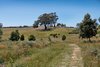 Real Estate and Property in 1150 Burke and Wills Track, Benloch, VIC