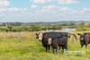 https://images.listonce.com.au/custom/l/listings/116-bruthen-nowa-nowa-road-bruthen-vic-3885/413/01932413_img_20.jpg?Vv3V0XOTjpg