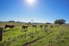 Real Estate and Property in 118 Cullys Road, Lancefield, VIC