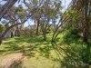 Real Estate and Property in 120 Back Beach Road, Portsea, VIC