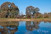 Real Estate and Property in 120 Railway Road, Elphinstone, VIC