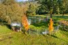 https://images.listonce.com.au/custom/l/listings/125-westlea-road-buchan-vic-3885/280/01735280_img_12.jpg?FMIe3Sm0mTQ