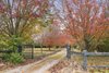 1261 Joadja Road, Joadja NSW 2575 