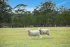 1261 Joadja Road, Joadja NSW 2575  - Photo 14