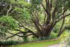 13 Centennial Road, Bowral NSW 2576  - Photo 34