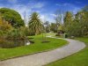 Real Estate and Property in 13 Glenbrook Avenue, Malvern East, VIC