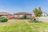 13 Meldrum Avenue, Miranda NSW 2228  - Photo 4