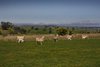 Real Estate and Property in 130 Dickens Lane, Barfold, VIC