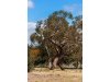 Real Estate and Property in 130 Rhinds Road, Wallington, VIC
