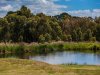 Real Estate and Property in 130 Rhinds Road, Wallington, VIC