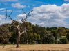 Real Estate and Property in 130 Rhinds Road, Wallington, VIC